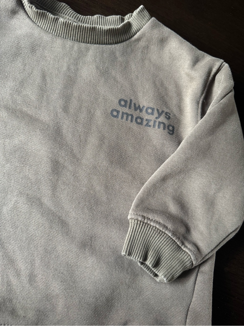 Zara Baby Toddler Sweatshirt Olive Green Always Amazing Crewneck 9-12 months